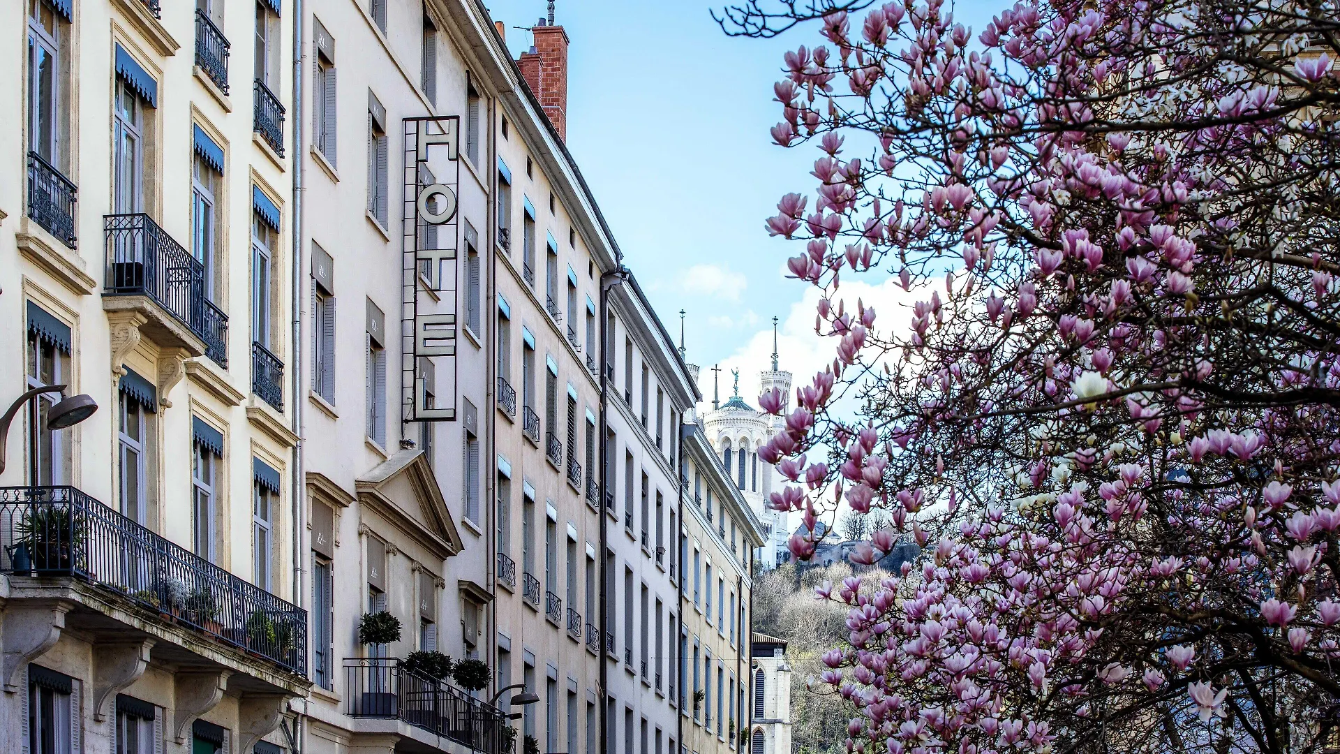 11 Hôtels Centraux à La Presqu'île pour Voyager Sans Contrainte